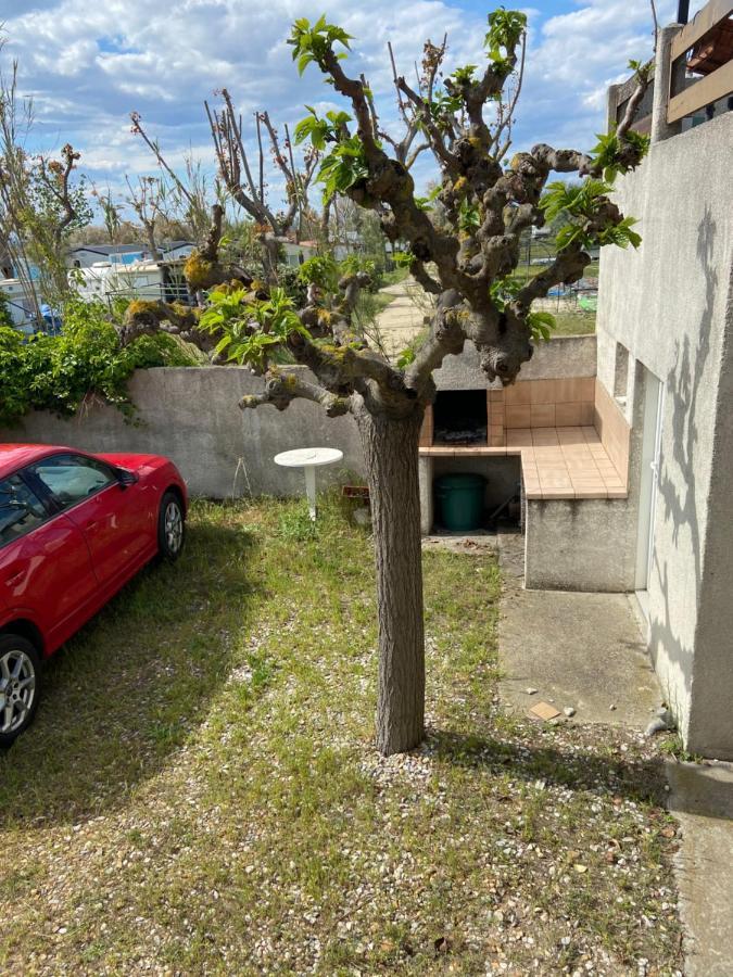 פאלאבה-לה-פלו Appt Avec Parking, Clim, Wifi A 50 M De La Plage מראה חיצוני תמונה